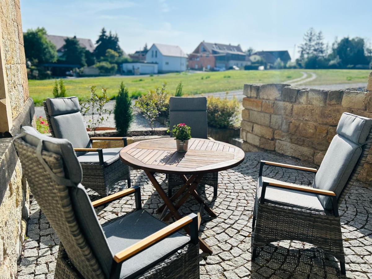Schlosspark Apartment I 80Qm I 3 Betten I Bei Dresden Heidenau Kültér fotó
