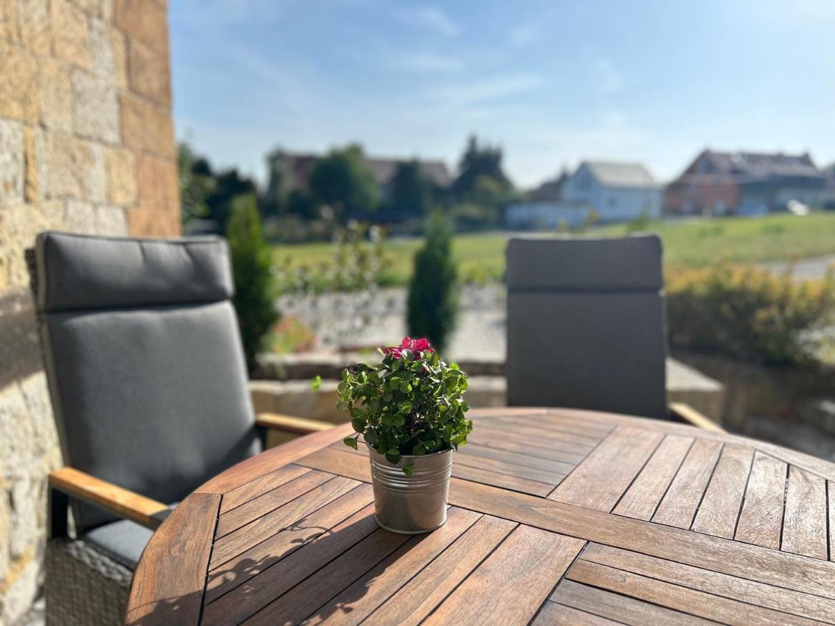 Schlosspark Apartment I 80Qm I 3 Betten I Bei Dresden Heidenau Kültér fotó